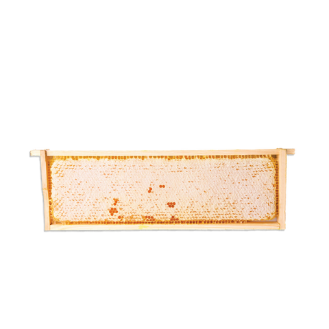 Traditional Italian Whole Honeycomb with Chestnut - front - Honey Apicoltura Regnani Lendra