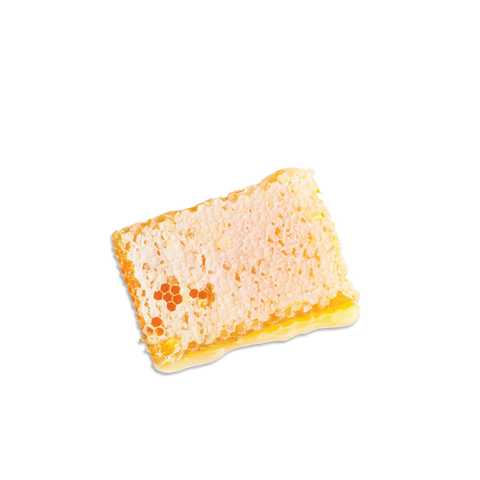 Traditional Italian Whole Honeycomb with Chestnut Honey Apicoltura Regnani Lendra