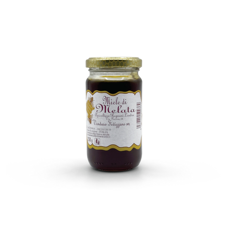 Traditional Italian Honey Honeydew 250g Apicoltura Regnani Lendra
