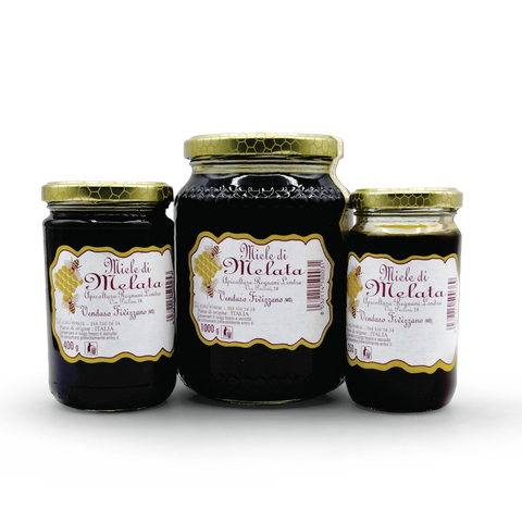 Traditional Italian Honey Honeydew Apicoltura Regnani Lendra