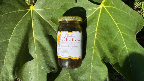 Honey and Diet: How to Replace Sugar Naturally