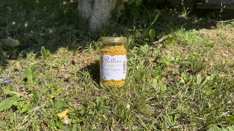 Raw Honey and Natural Healing: Remedies from the Italian Tradition