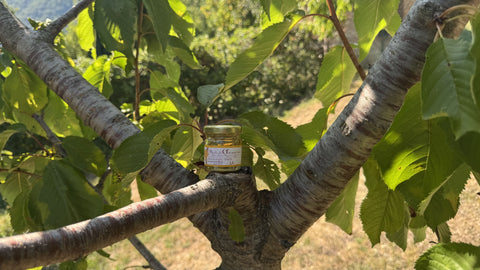 Honey and Beauty: Natural Recipes for Skin and Hair