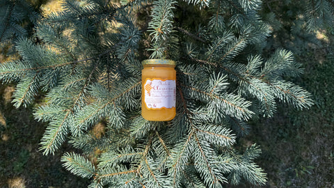 Acacia Honey: Properties and Benefits of the Golden Nectar