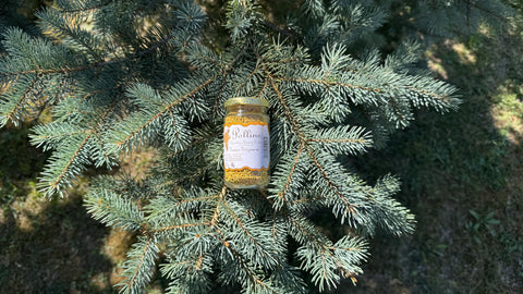 Honey, Propolis and Pollen: Your Natural Defence Kit for Every Season