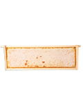 Traditional Italian Whole Honeycomb with Chestnut - front - Honey Apicoltura Regnani Lendra