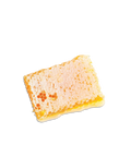Traditional Italian Whole Honeycomb with Chestnut Honey Apicoltura Regnani Lendra