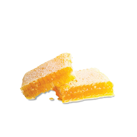 Traditional Italian Whole Honeycomb with Chestnut Honey Apicoltura Regnani Lendra
