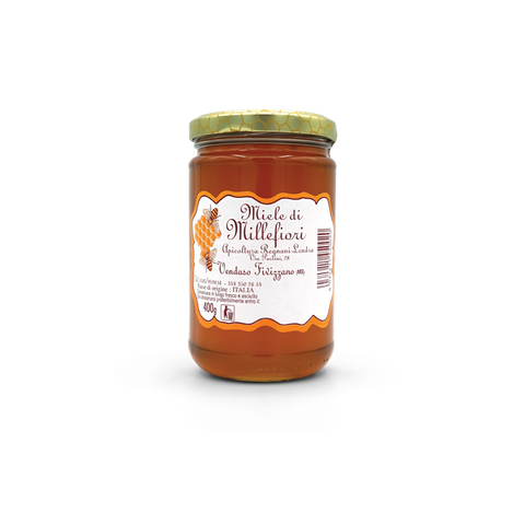 Traditional Italian Honey Wildflower  400g Apicoltura Regnani Lendra